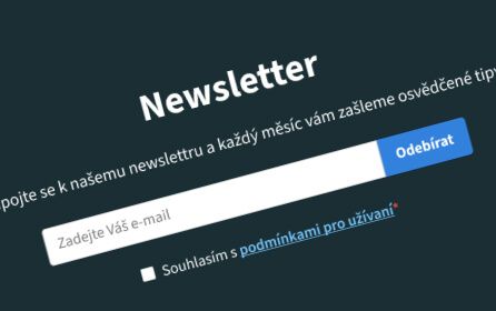 Newsletter sekce